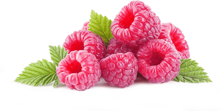 TOBACCO HOUSE - Всё для вашего кальяна